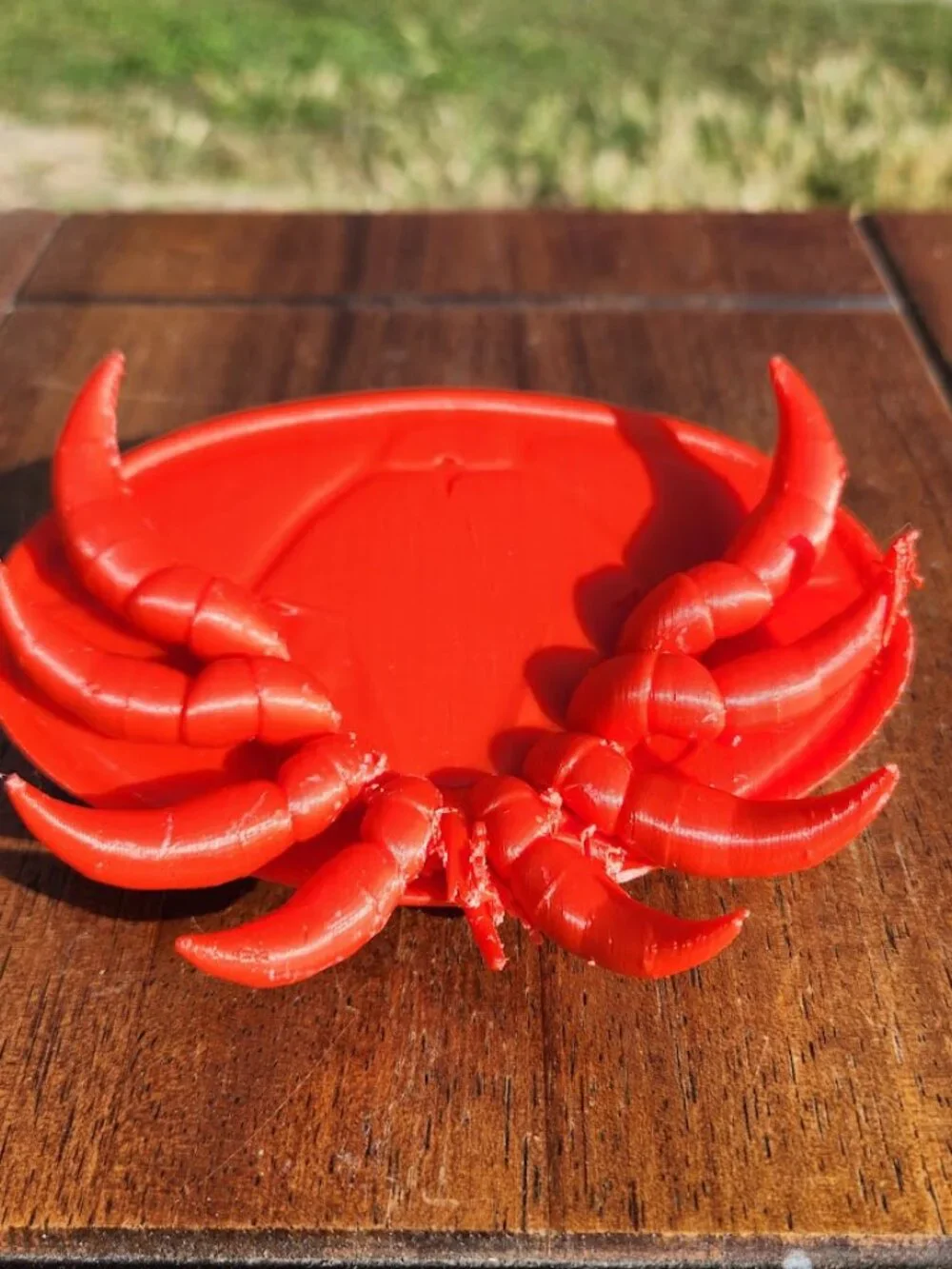 Varroa Mite Varoa Destructor Bug Insect Model Beekeeping Honeybees Bee Save the